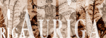 AURIGA