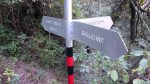 gallicant